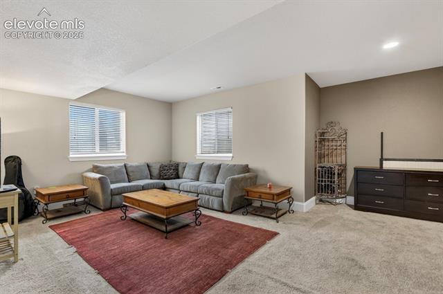 MLS Image for 6660  Big Leaf  ,Colorado Springs, Colorado