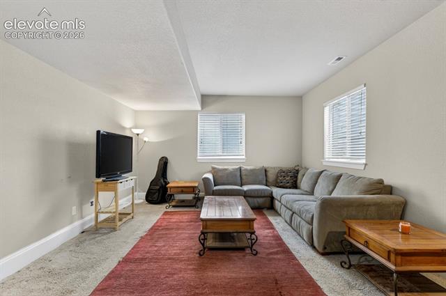 MLS Image for 6660  Big Leaf  ,Colorado Springs, Colorado