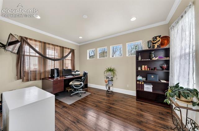 MLS Image for 6660  Big Leaf  ,Colorado Springs, Colorado
