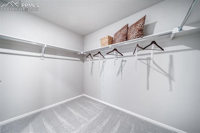 MLS Image for 4927  Eddleman  ,Colorado Springs, Colorado