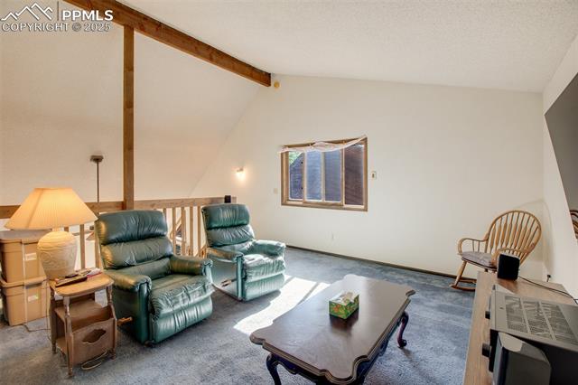 MLS Image for 886  Cottonwood Lake  ,Divide, Colorado