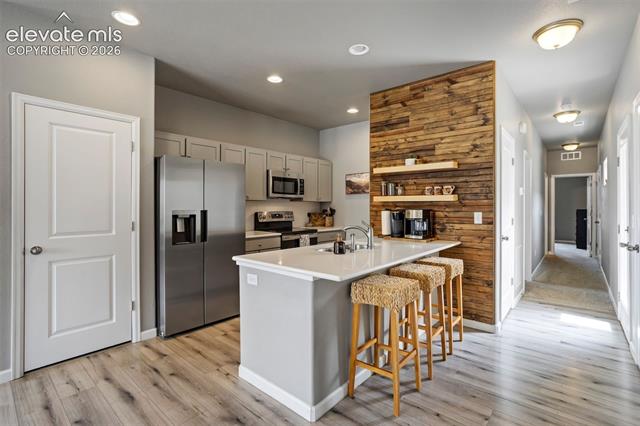 MLS Image for 1027  Tyre  ,Colorado Springs, Colorado