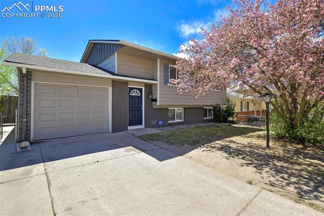 MLS Image for 2113  Saranac  ,Colorado Springs, Colorado
