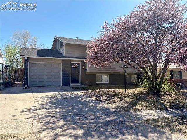MLS Image for 2113  Saranac  ,Colorado Springs, Colorado