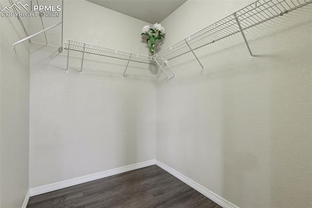 MLS Image for 6295  Wallowing  ,Colorado Springs, Colorado