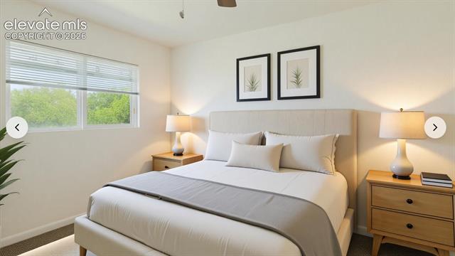 MLS Image for 2139  Preuss  B ,Colorado Springs, Colorado