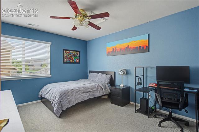MLS Image for 7001  Oasis Butte  ,Colorado Springs, Colorado