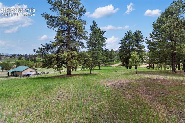 MLS Image for 42  Bluebird Hill  ,Woodland Park, Colorado