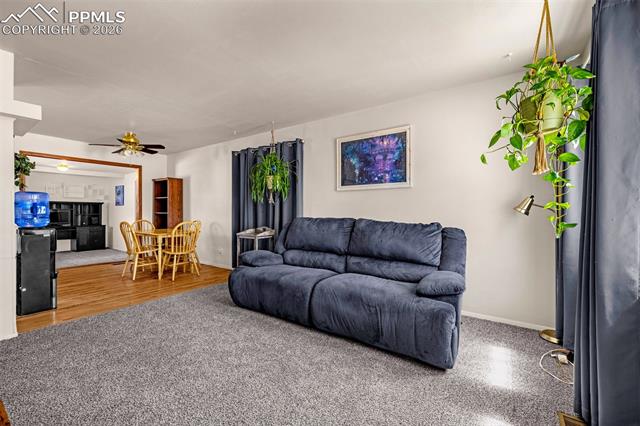 MLS Image for 512  Cottonwood  ,Colorado Springs, Colorado
