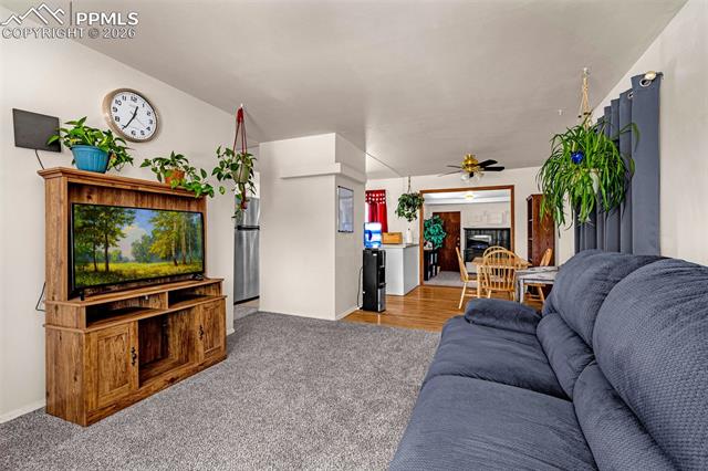 MLS Image for 512  Cottonwood  ,Colorado Springs, Colorado