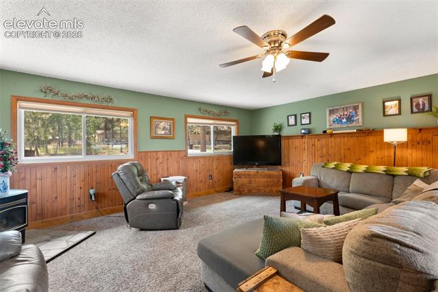 MLS Image for 1010 W Bowman  ,Woodland Park, Colorado