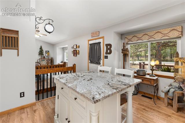 MLS Image for 1010 W Bowman  ,Woodland Park, Colorado
