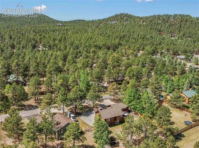 MLS Image for 1010 W Bowman  ,Woodland Park, Colorado