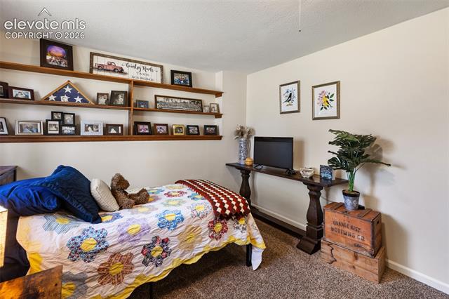 MLS Image for 1010 W Bowman  ,Woodland Park, Colorado