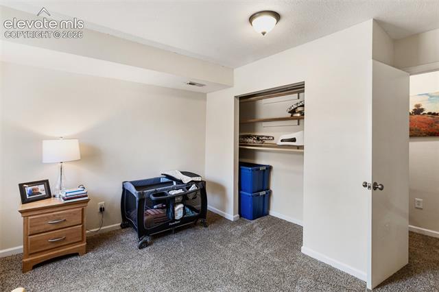 MLS Image for 1010 W Bowman  ,Woodland Park, Colorado