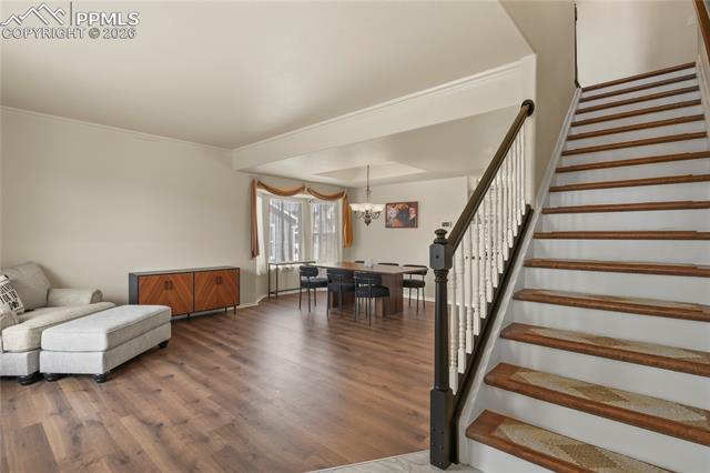 MLS Image for 16273  Windsor Creek  ,Monument, Colorado