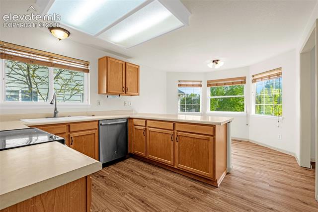 MLS Image for 5663  Mesa Mountain  ,Colorado Springs, Colorado