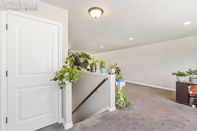 MLS Image for 6987  Fauna Glen  ,Colorado Springs, Colorado
