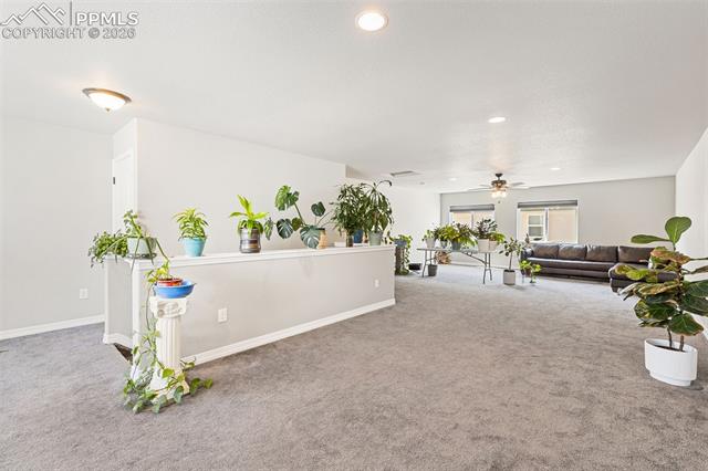 MLS Image for 6987  Fauna Glen  ,Colorado Springs, Colorado