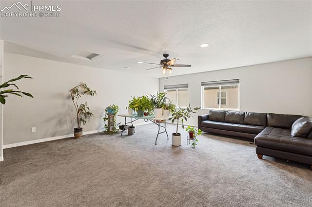 MLS Image for 6987  Fauna Glen  ,Colorado Springs, Colorado