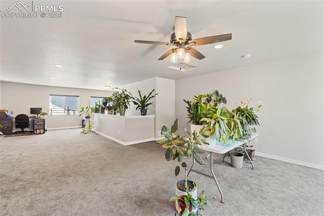MLS Image for 6987  Fauna Glen  ,Colorado Springs, Colorado