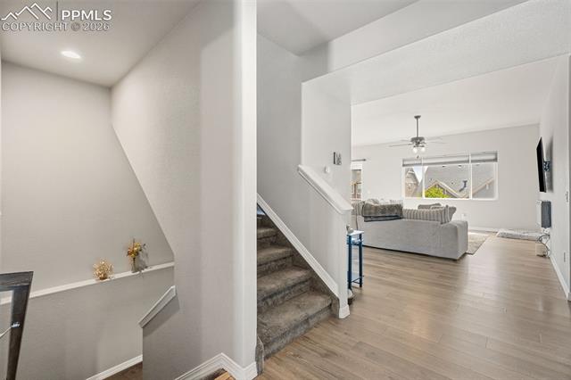 MLS Image for 6987  Fauna Glen  ,Colorado Springs, Colorado