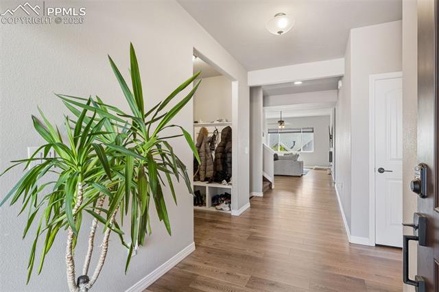 MLS Image for 6987  Fauna Glen  ,Colorado Springs, Colorado