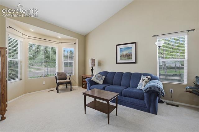 MLS Image for 1353  Lookout Springs  ,Colorado Springs, Colorado