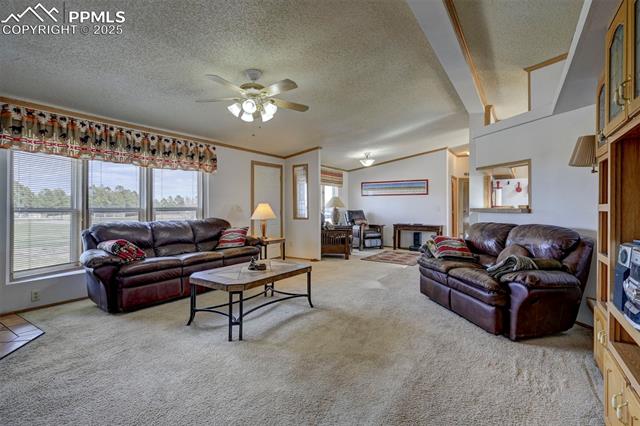 MLS Image for 12060  Bradshaw  ,Peyton, Colorado