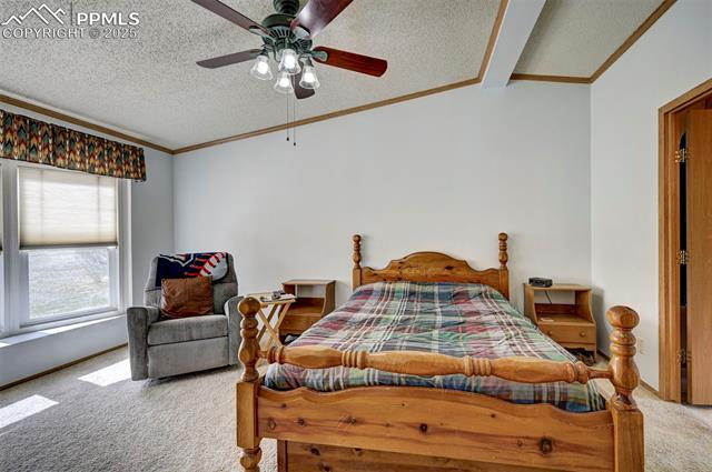MLS Image for 12060  Bradshaw  ,Peyton, Colorado