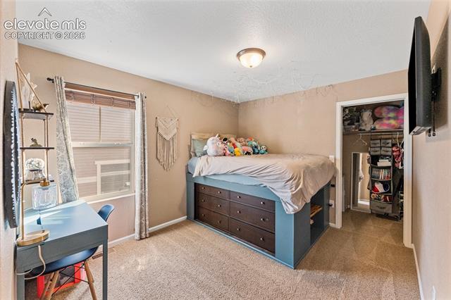 MLS Image for 8335  Mahogany Wood  ,Colorado Springs, Colorado