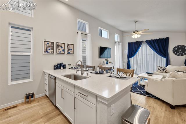 MLS Image for 7259  Treebrook  ,Colorado Springs, Colorado