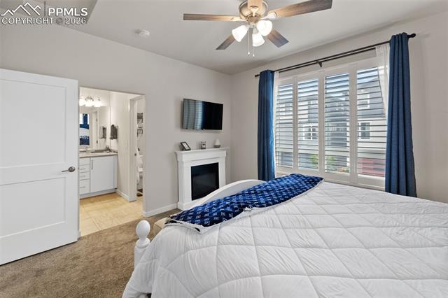 MLS Image for 7259  Treebrook  ,Colorado Springs, Colorado