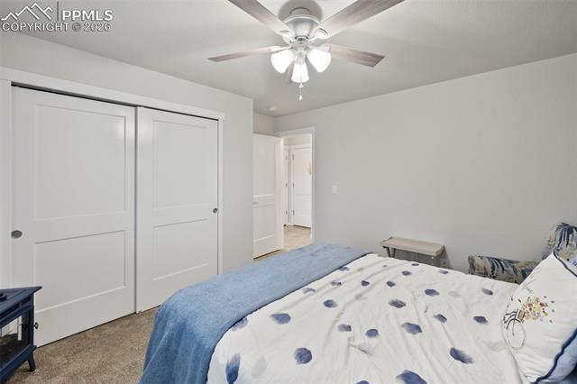 MLS Image for 7259  Treebrook  ,Colorado Springs, Colorado