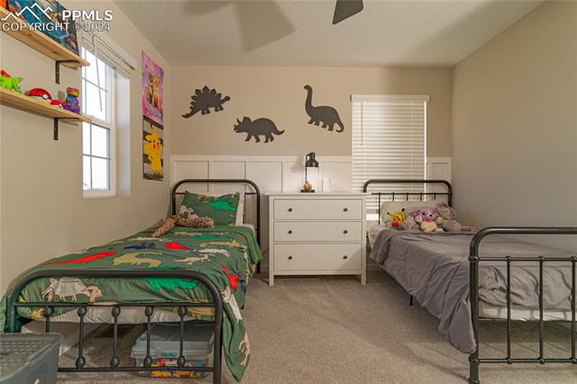 MLS Image for 8069  Buffalo Horn  ,Colorado Springs, Colorado