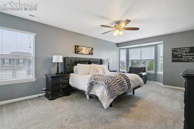 MLS Image for 12912  Fishers Island  ,Peyton, Colorado