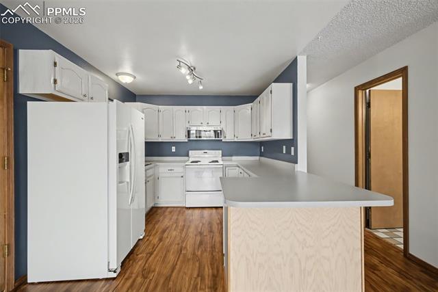 MLS Image for 1308  Race  ,Colorado Springs, Colorado