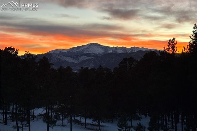 MLS Image for 17270  Colonial Park  ,Monument, Colorado