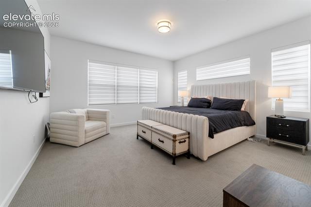 MLS Image for 2404  Antica  ,Colorado Springs, Colorado