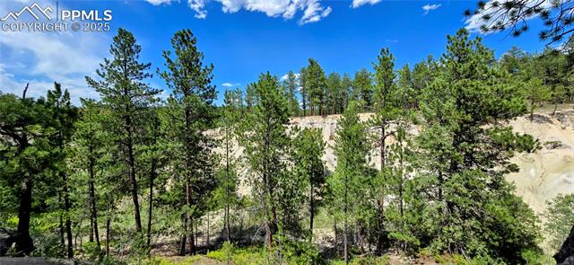 MLS Image for 11785  Milam  ,Colorado Springs, Colorado
