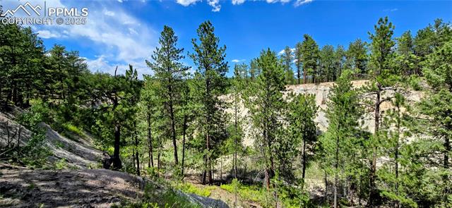 MLS Image for 11785  Milam  ,Colorado Springs, Colorado