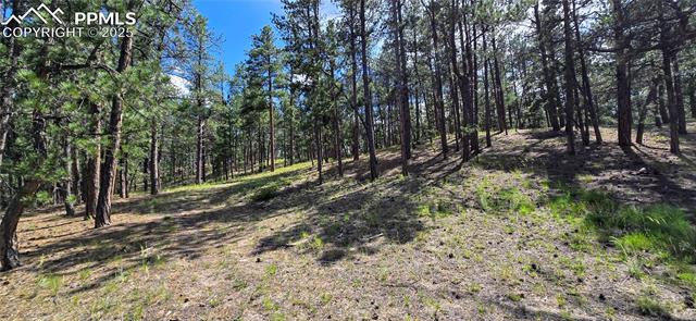 MLS Image for 11785  Milam  ,Colorado Springs, Colorado