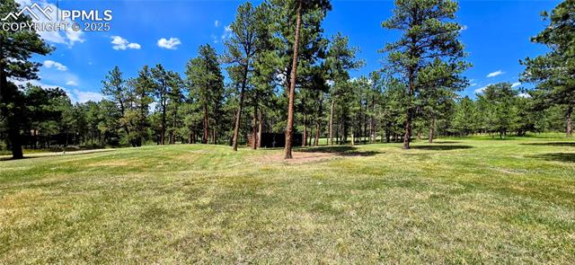 MLS Image for 11785  Milam  ,Colorado Springs, Colorado