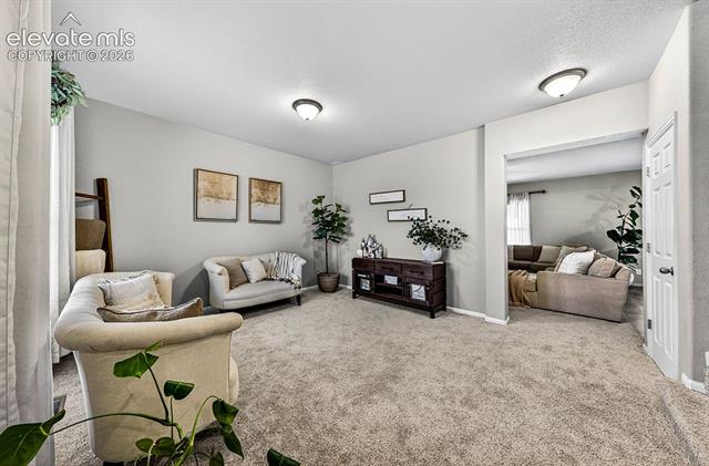 MLS Image for 10087  Beckham  ,Peyton, Colorado