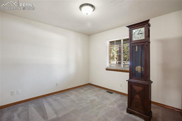 MLS Image for 310  Evergreen  ,Woodland Park, Colorado
