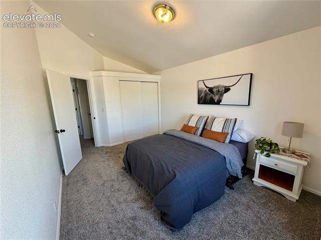 MLS Image for 1529  Chutney  ,Colorado Springs, Colorado