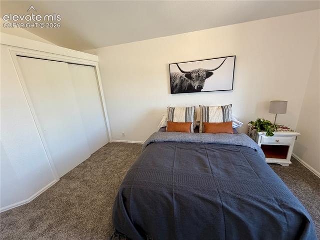 MLS Image for 1529  Chutney  ,Colorado Springs, Colorado