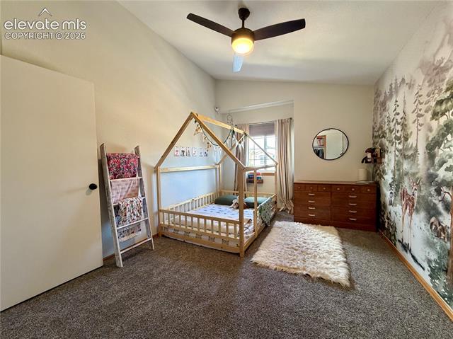 MLS Image for 1529  Chutney  ,Colorado Springs, Colorado
