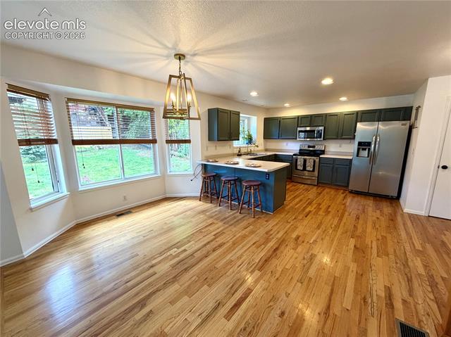 MLS Image for 1529  Chutney  ,Colorado Springs, Colorado