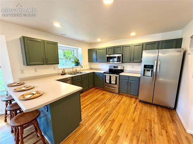 MLS Image for 1529  Chutney  ,Colorado Springs, Colorado